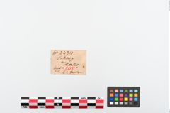 Etiketten zu Perlenkette (NHMW-PRAE-024310)